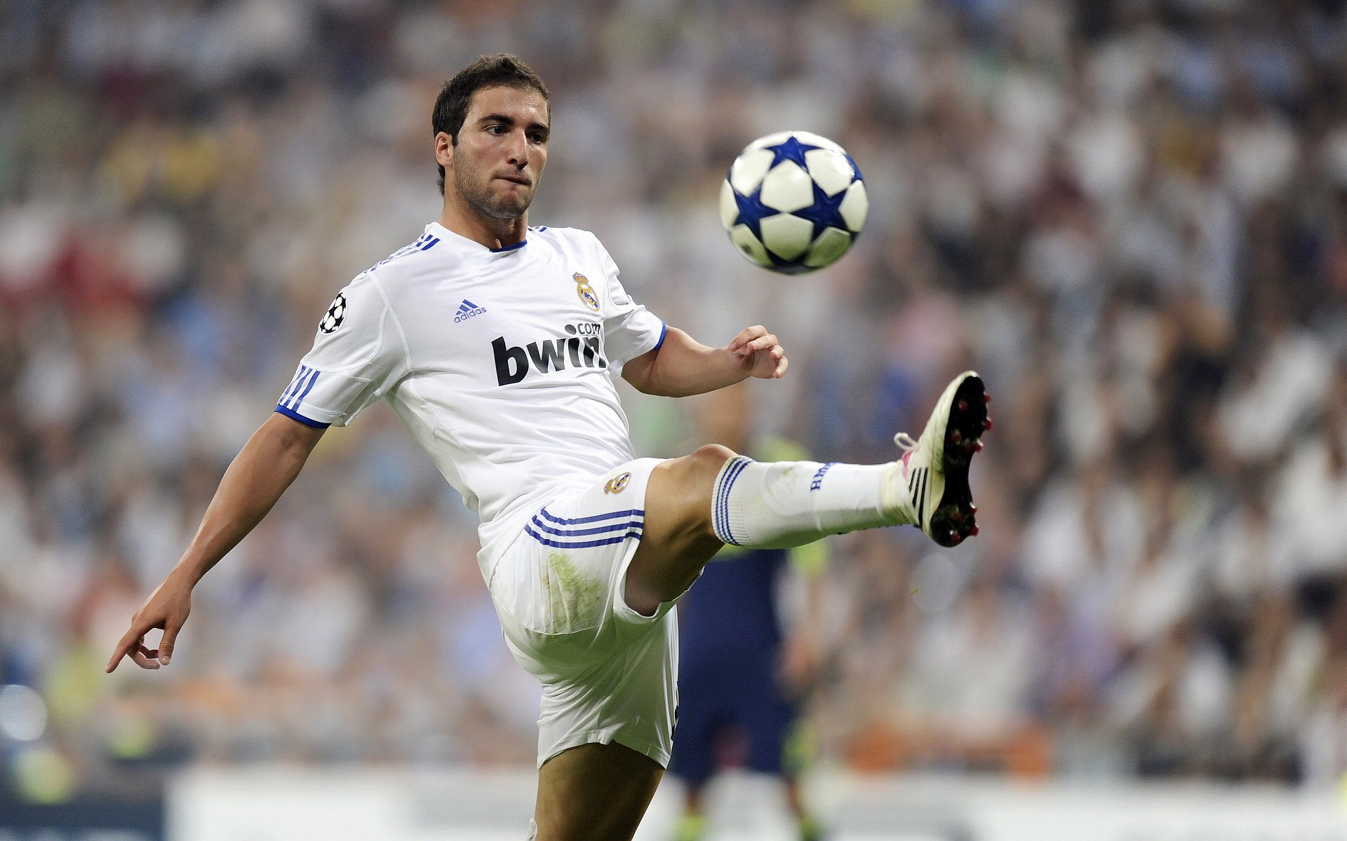 切特定律，当黄蜂的聚光灯照向北京，舞台越大他越强